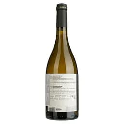 Вино Finca Bacara Sauvignon Blanc біле сухе 0.75 л - мініатюра 2