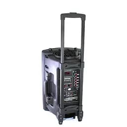 Портативна колонка Su-Kam BT 120D / 212D + 2 мікрофони 12 V\220 V - мініатюра 2