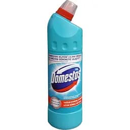Засіб для чищення універсальний Domestos Евкаліптова свіжість 750 мл