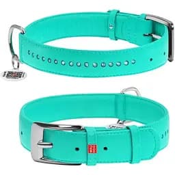 Нашийник для собак Waudog Glamour шкіряний з QR паспортом, подвійний зі стразами, S, Ш 20 мм, Дов 30-39 см