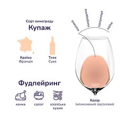 Уцінка. Вино Barton&Guestier Rose d’Anjou, рожеве, сухе, 10,5%, 0,75 л (718847)  - мініатюра 8