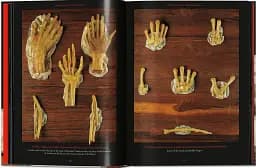 Anatomical Waxes. 45th Edition - мініатюра 10