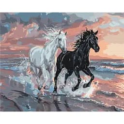 Картина по номерам Brushme Дуэт ветров 40x50 см