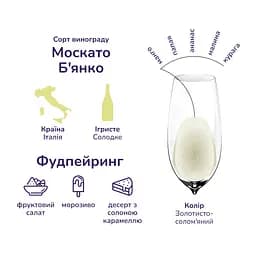 Вино ігристе Canti Asti, біле, солодке, 7%, 0,75 л, подарункова упаковка (Q3467) - мініатюра 2