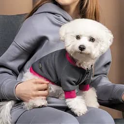Толстовка Pet Fashion Bim XS сіра - мініатюра 4