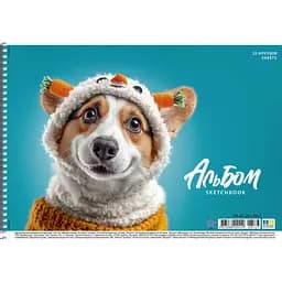 Альбом для рисования Star спираль 20 л. 100 г/м2 ИД лак в ассортименте (PB-SC-020-8567)