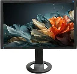 Монитор 24" EIZO S2402W 1920x1200 TN VGA DVI (S2402W) Б/у