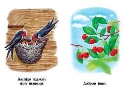 22 картинки. Пори року - - мініатюра 3