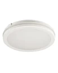 Уличный светильник Kanlux 38386 BENO ECO LED 1x40 3000K/4000K/6500K 4050/4600/4450Lm IP65 белый