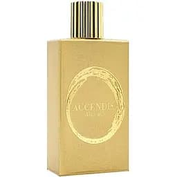 Парфюмерная вода Accendis Alidoro 100 мл тестер