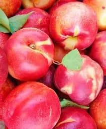 Саджанець Agro-Market Нектарин Алі Топ (лисий персик, середній термін дозрівання) 1 шт. в упаковці (61953)