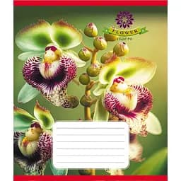 Зошит учнівський "Орхідея" Leader 036-570137K-4 в клітинку, 36 аркушів