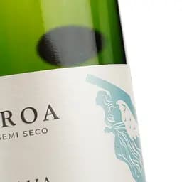 Вино ігристе Vallformosa Proa Cava Semi Seco біле напівсухе 0.75 л - мініатюра 3