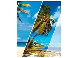 Альбом UFO PP-46200 Paradise 10x15x200см (PP-46200 Paradise)