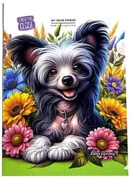 Папка Г-форма А4+, P0214 (1 відділення)