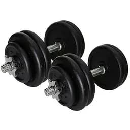 Гантелі складальні Newt 2 шт. по 15.5 кг TI-968-745-1