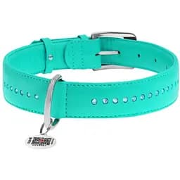 Нашийник для собак Waudog Glamour, подвійний зі стразами, шкіряний, з QR паспортом, 30-39х2 см, ментоловий