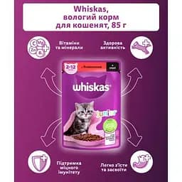 Вологий корм для кішок Whiskas Kitten Яловичина в соусі 85 г (5900951301957) - мініатюра 3