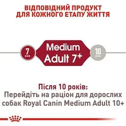 Сухий корм для старіючих собак Royal Canin Medium Adult 7+, 4 кг (3005040) - мініатюра 7