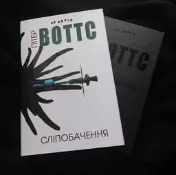 Сліпобачення - мініатюра 3