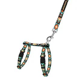 Шлея для котів та собак дрібних порід BronzeDog Urban Орнамент ромби з нашивкою та повідцем XS 18-27 см