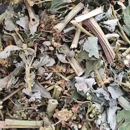 Таволга/гадючник вязолистная трава сушеная - свежий урожай 100 г