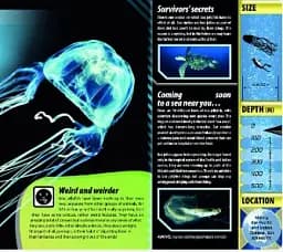 iExplore. Ocean Monsters - мініатюра 6