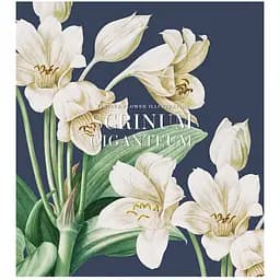 Зошит загальний Школярик My garden в клітинку 60 аркушів 10 шт. (060-3204K)