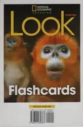 Look. Starter. Flashcards