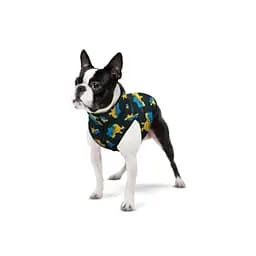Курточка для собак Waudog Clothes, Дім, XS25 - мініатюра 3
