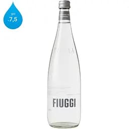 Fiuggi, Oligominerale, 0,75 л, Ф'юджи, Лікувальна мінеральна вода, негазована, скло