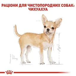 Набір вологий корм Royal Canin Chihuahua Adult для собак породи Чихуахуа 1.02 кг (12 шт. х 85 г) - мініатюра 4