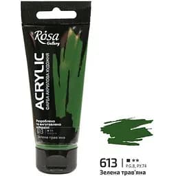 Фарба акрилова Зелена трав'яна (613) 60 мл Rosa Gallery