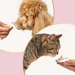 Ласощі для котів та собак Delickcious молоко з сиром (1+1) 120 г  - мініатюра 11