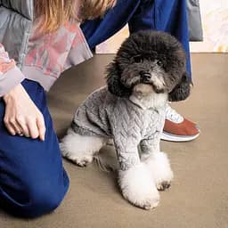 Толстовка Pet Fashion Delicate XS сіра - мініатюра 3