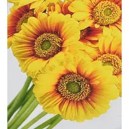 Алмазная мозаика Солнечные цветы HEG88145 30х40 см