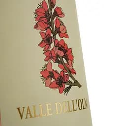 Вино Marziano Abbona Favorita Valle dell Olmo, біле, сухе, 12.45%, 0.75 л - мініатюра 3