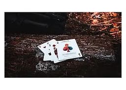 Карти гральні Cartamundi Ellusionist Peak 15 (limited edition) (54832) - мініатюра 5