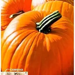 Насіння Весна Гарбуз Ранній цукровий 100 г (49475)