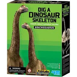 Игровой набор 4M Скелет брахиозавра (00-03237)