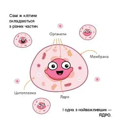 Генетика - мініатюра 9