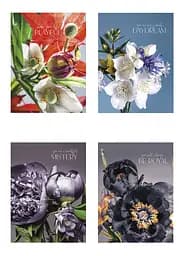 Комплект 4 шт общих тетрадей. Тетрадь Школярик А5 48 л. в линию 5074 4823088219210