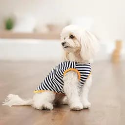 Борцовка Kale Pet Fashion для собак L смугаста - мініатюра 4