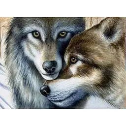 Алмазна мозаїка зі стразами на підрамнику c принт. рамою, Любов 40*50 см вовки