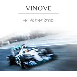 Аромат в машину Vinove Сільверстоун картридж - мініатюра 7