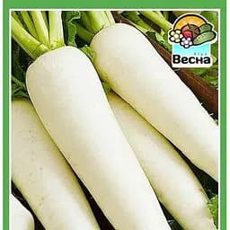 Насіння Весна Редька дайкон Міновазе 1.5 г (24227)