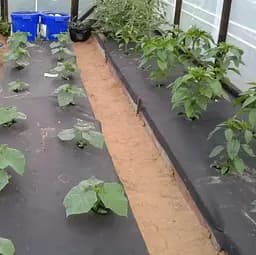 Агроволокно Shadow 90 г/м² 1.6 x 5 м АВЧП000092 - мініатюра 2