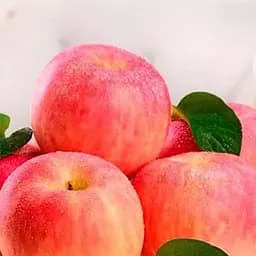 Саджанець Agro-Market Яблуня Фуджі (зимовий сорт, пізній термін дозрівання) (17569) 1 шт. в упаковці