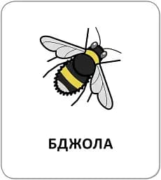 Картки з піктограмами. Тварини - мініатюра 2