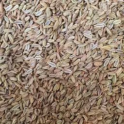 100 г фенхель обыкновенный плоды сушеные - свежий урожай